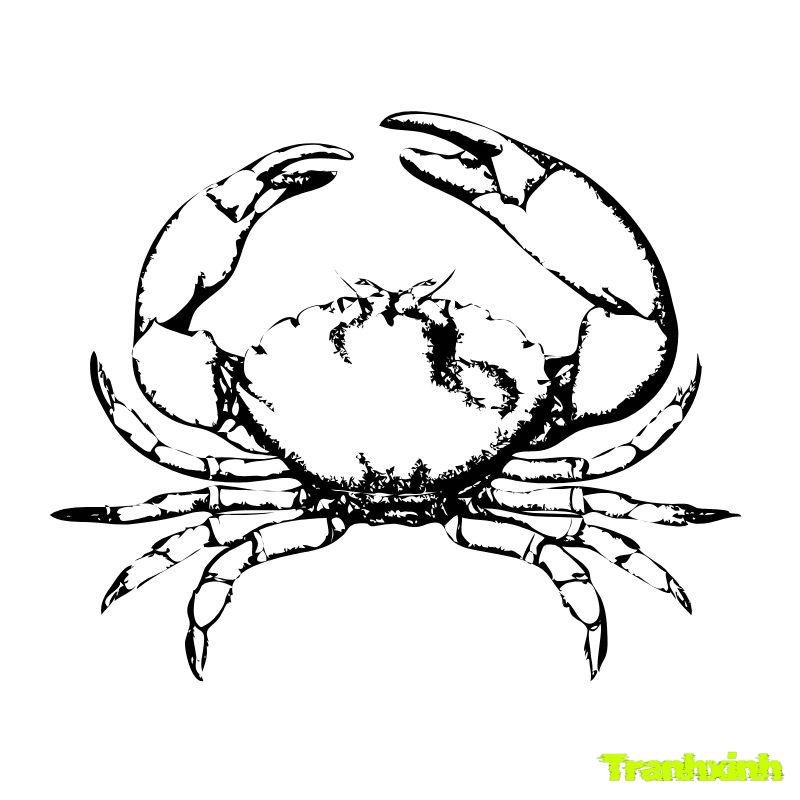 hinh tranh tô màu con cua