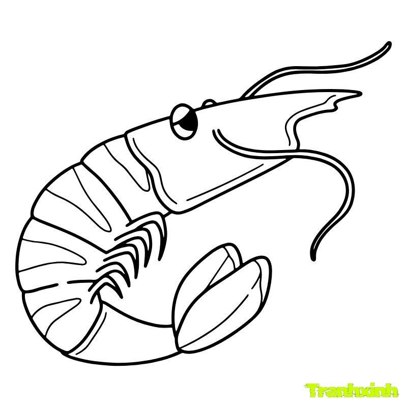 hình tranh tô màu con tôm