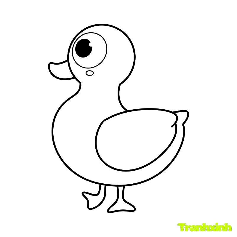 hình tranh tô màu con vịt