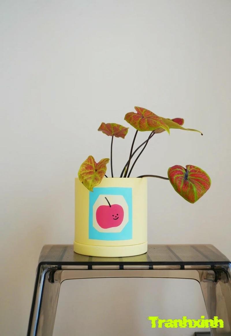 hoa ban công đẹp