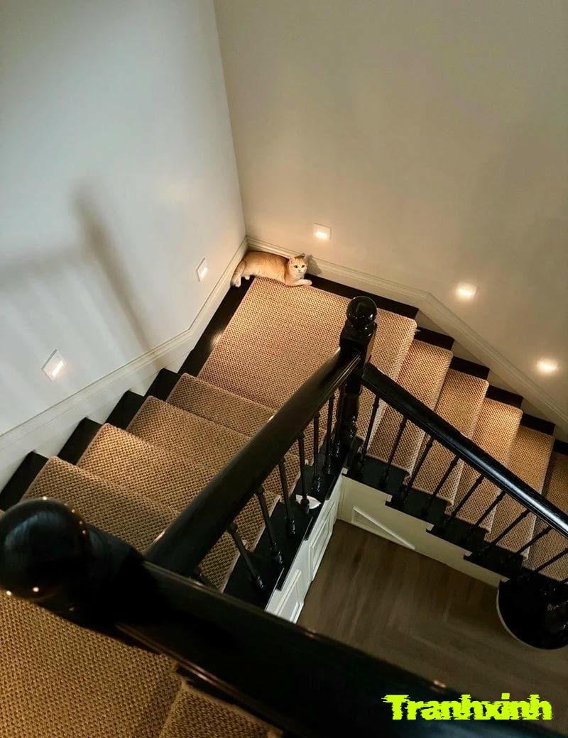 mẫu đèn cầu thang