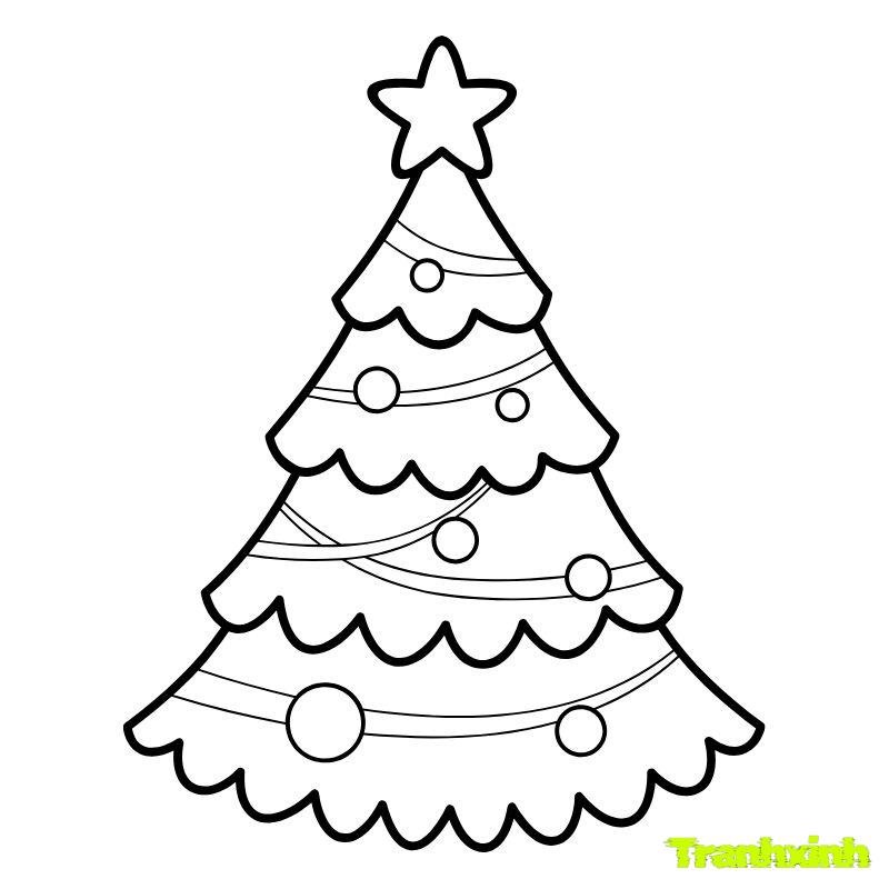 tô màu cây thông
