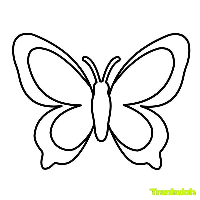 tô màu con bướm đẹp