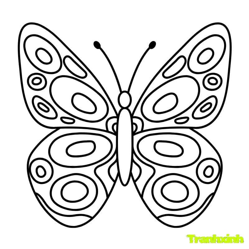 to màu con bướm đơn giản