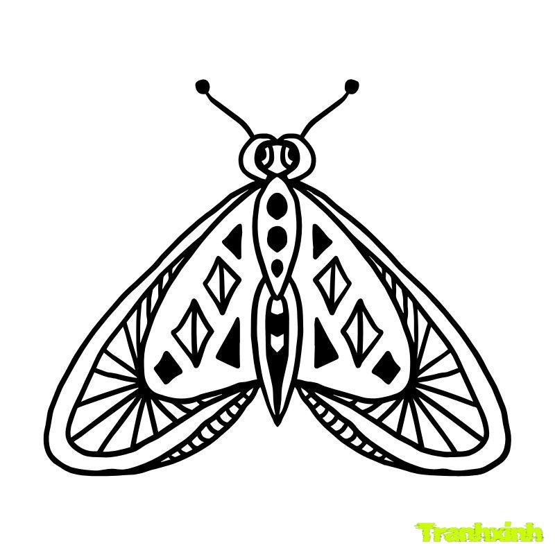 tô màu con bướm đơn giản