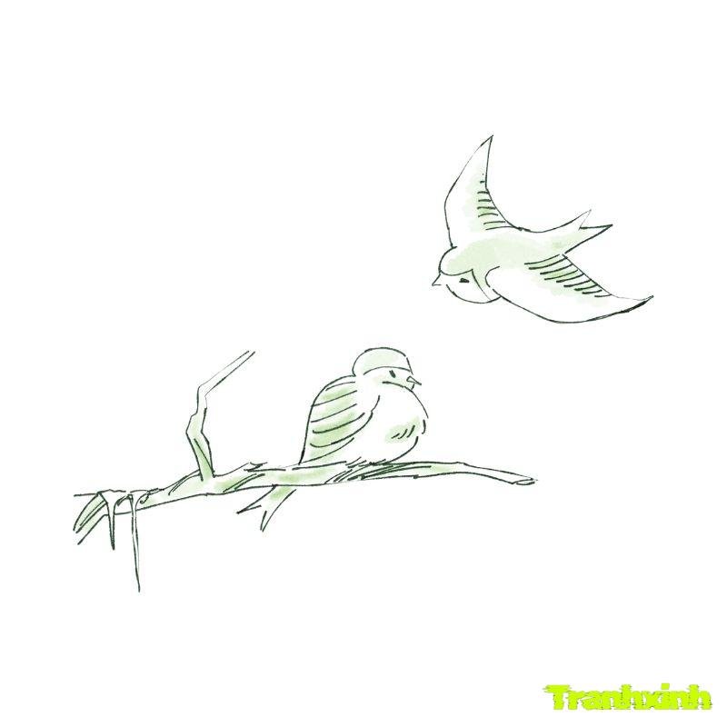 tô màu con chim