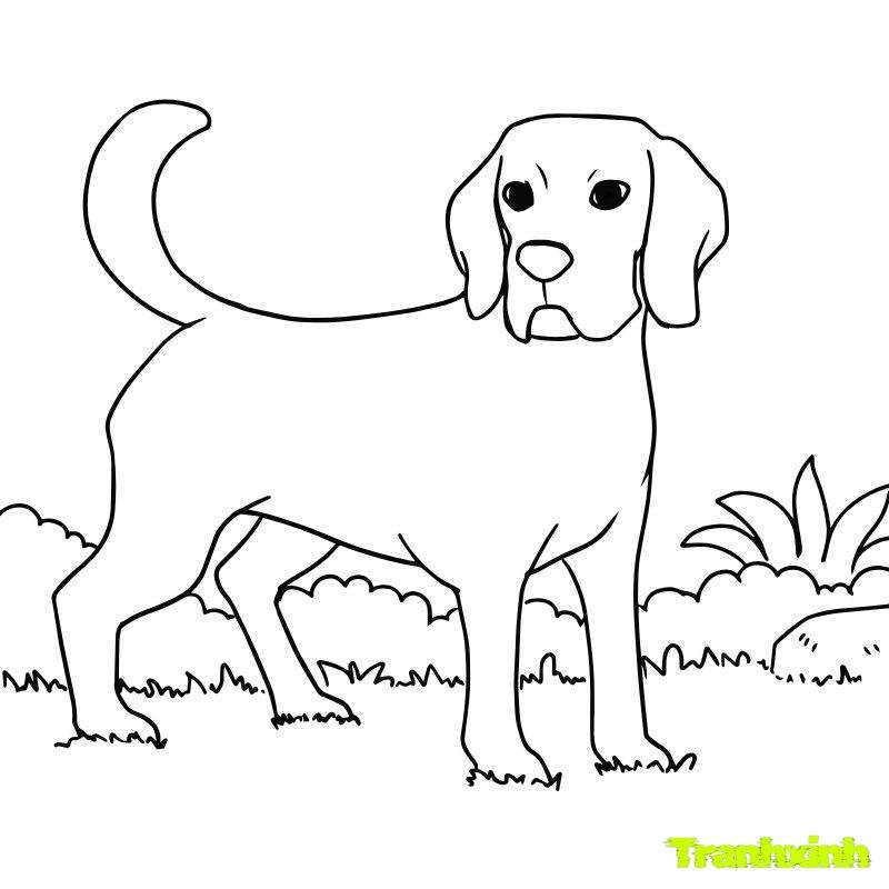 tô màu con chó