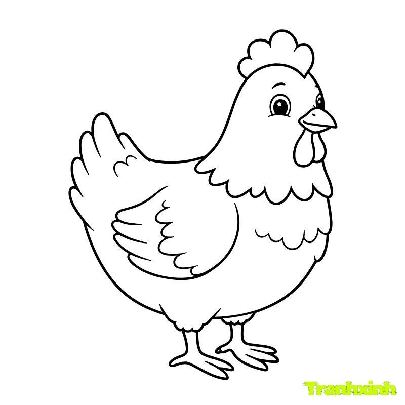 tô màu con gà mái