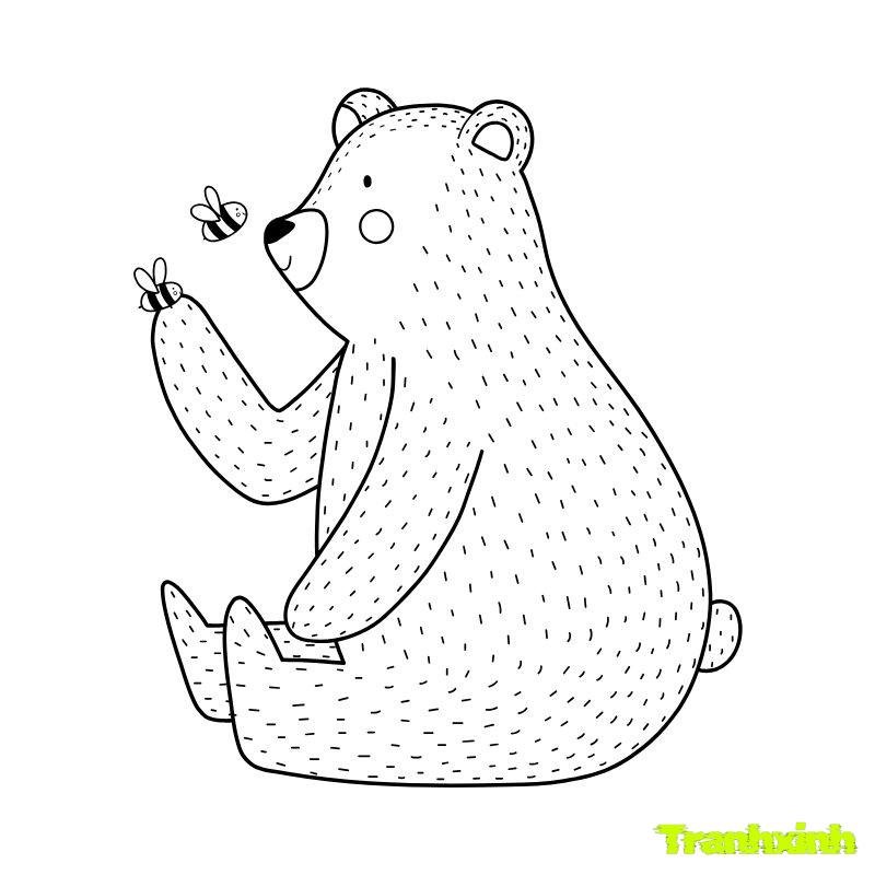 tô màu con gấu