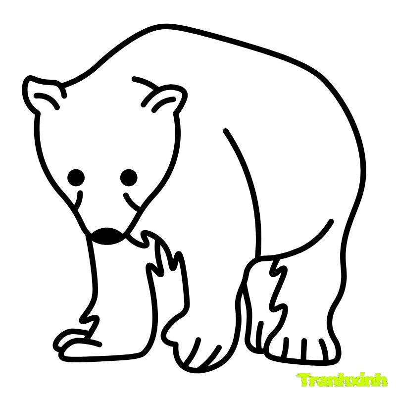 tô màu con gấu trúc