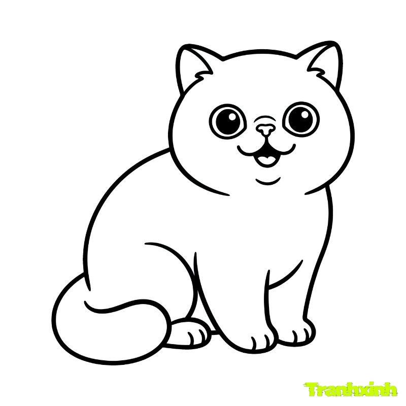 tô màu con meo