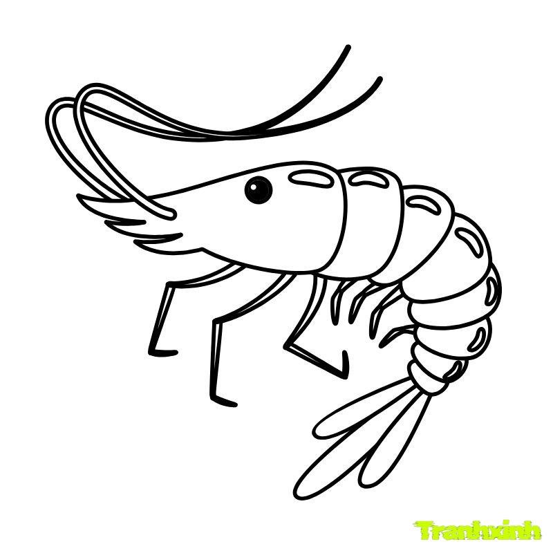 tô màu con tôm