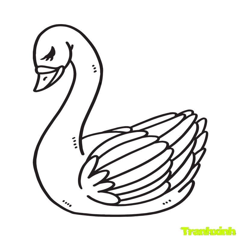tô màu con vịt