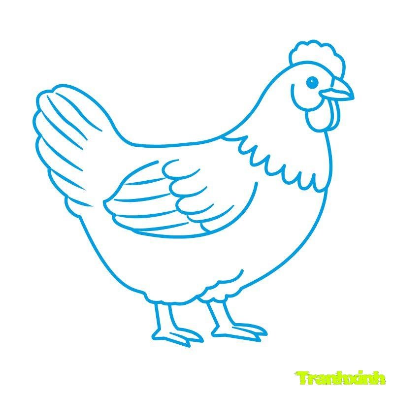 tô màu gà mái