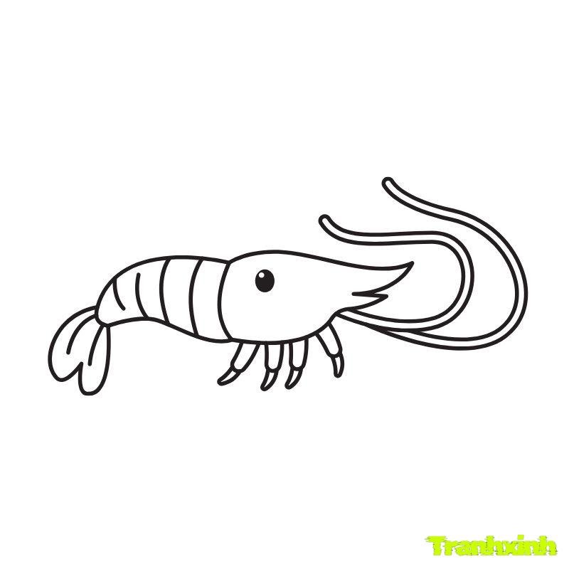 tôm nhỏ cho bé tô màu