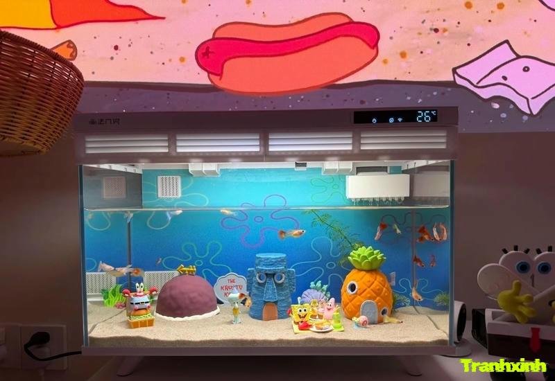 trang trí bể cá cát