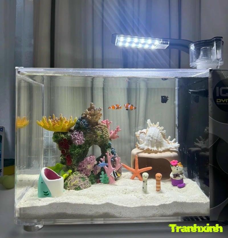 trang trí bể cá đơn giản