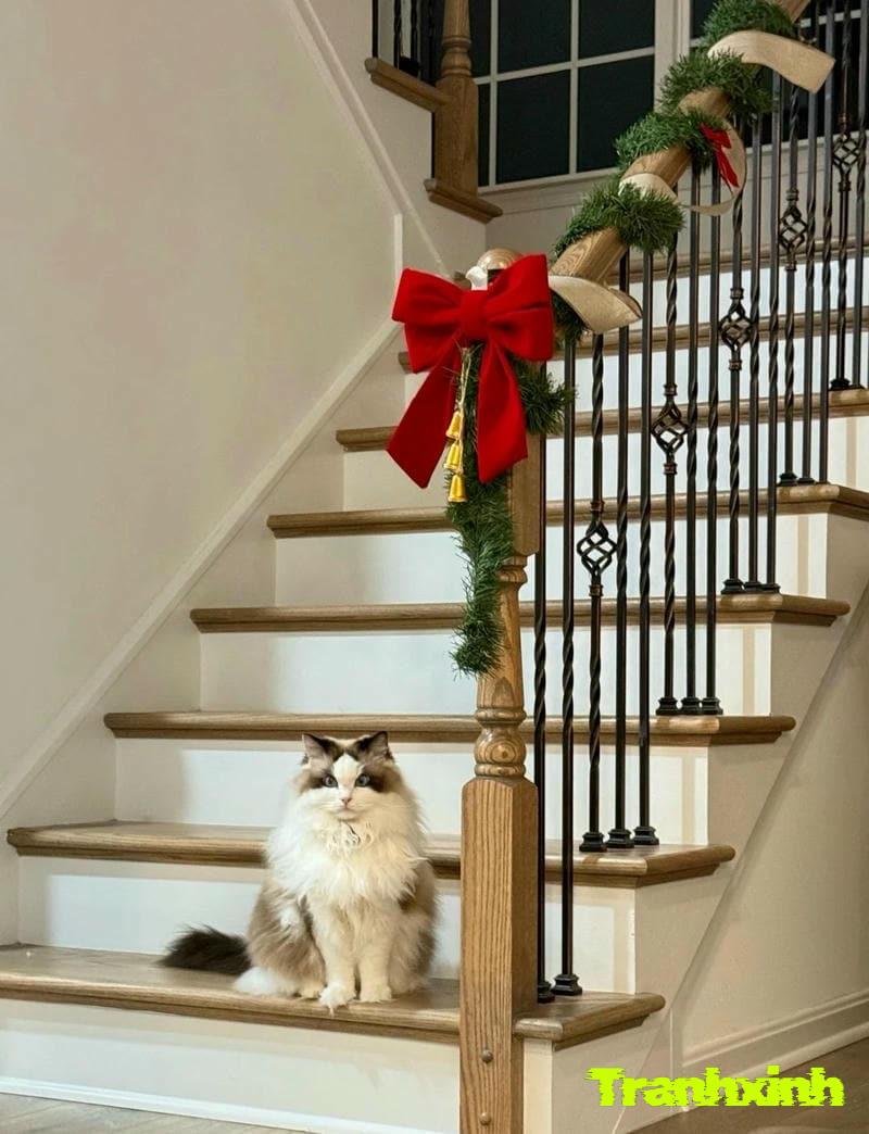 trang trí cầu thang đẹp noel