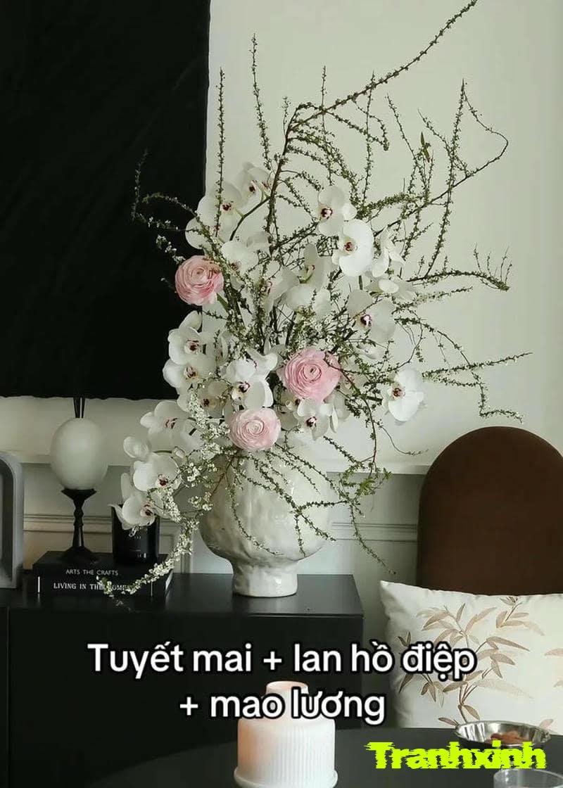trang tri cay mai