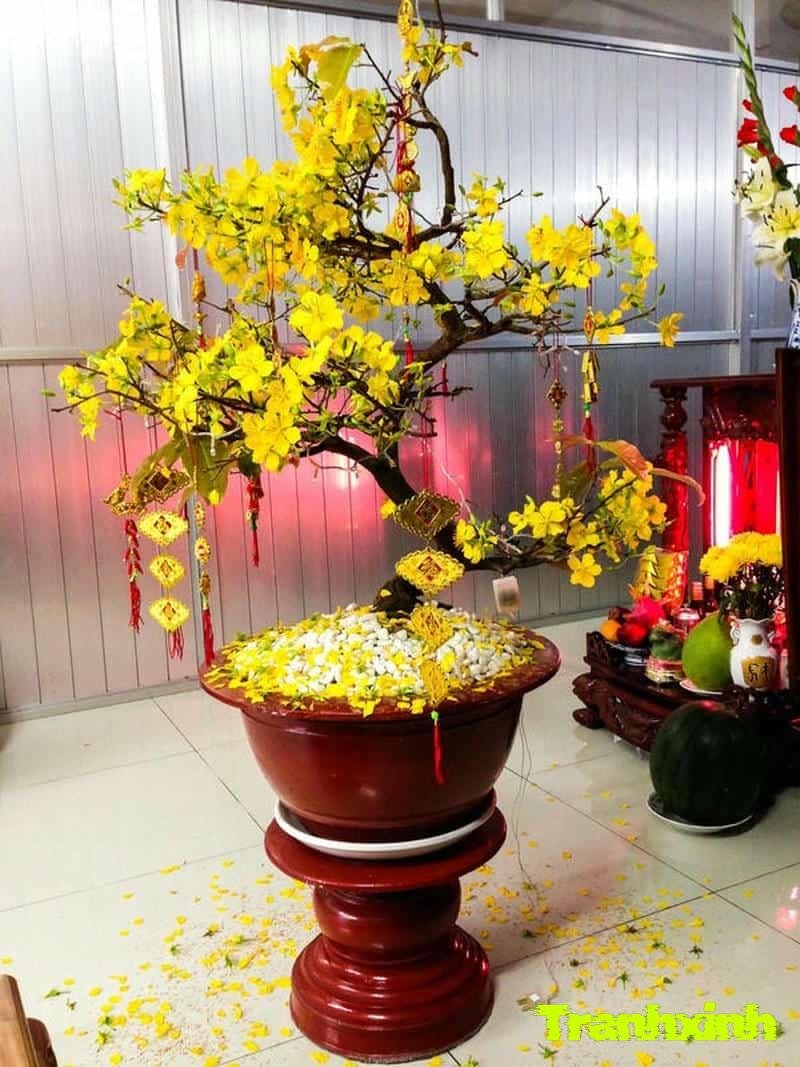 trang trí cây mai giả ngày tết