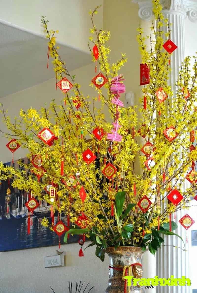 trang trí cây mai ngày tết
