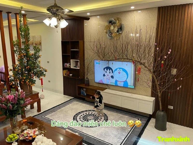 trang tri cay mai tet