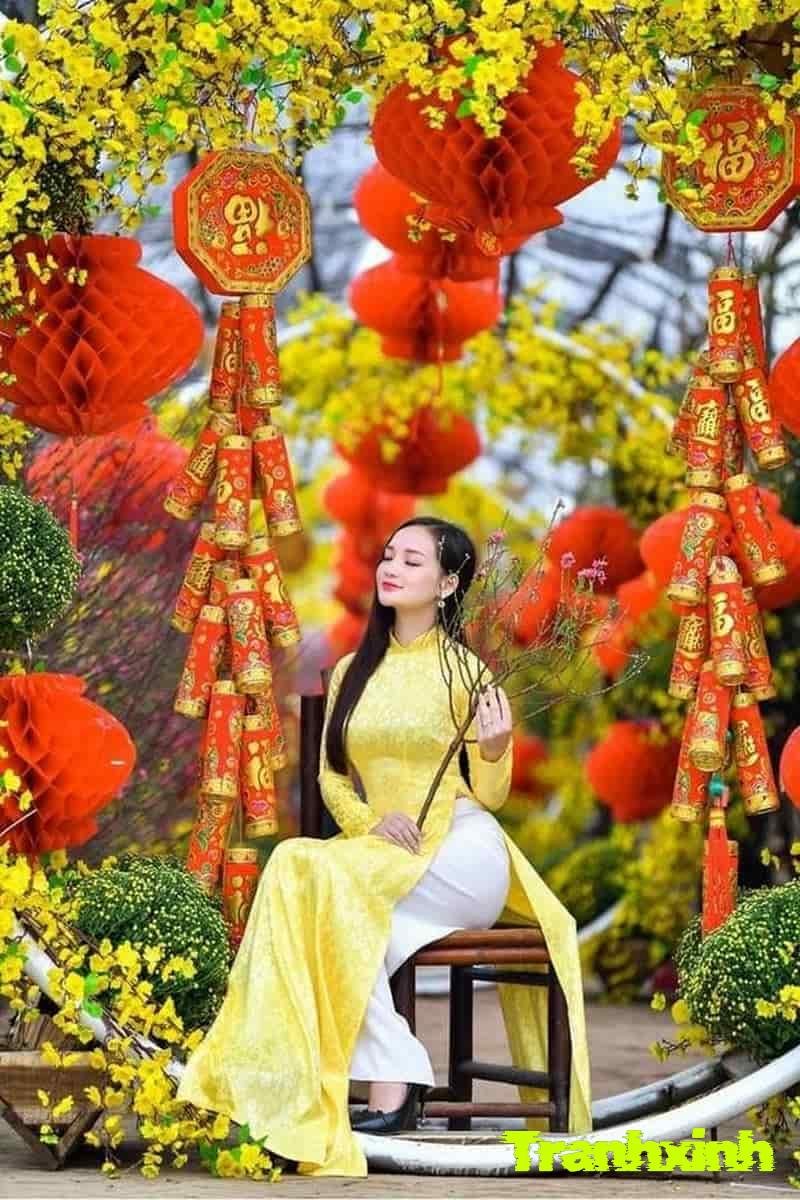 trang tri cay mai tet