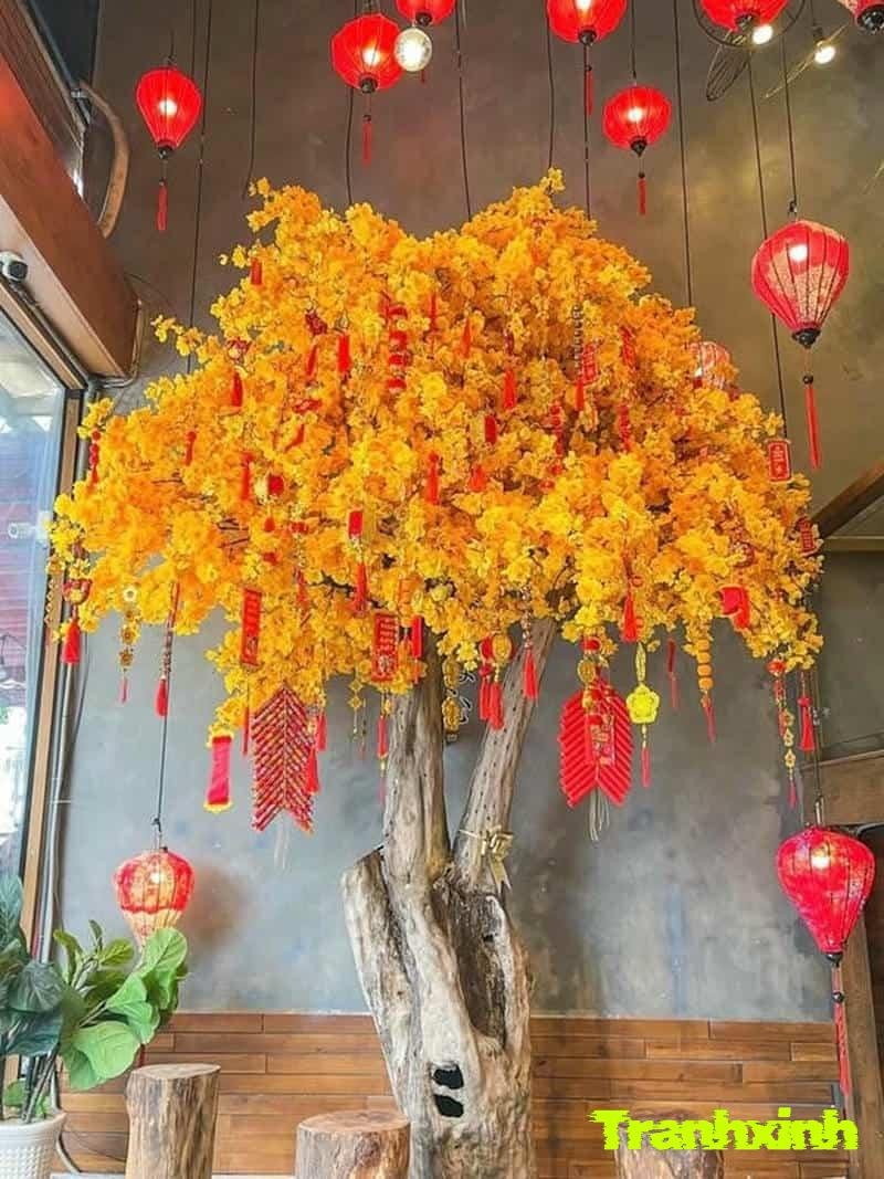 trang trí cây mai8k