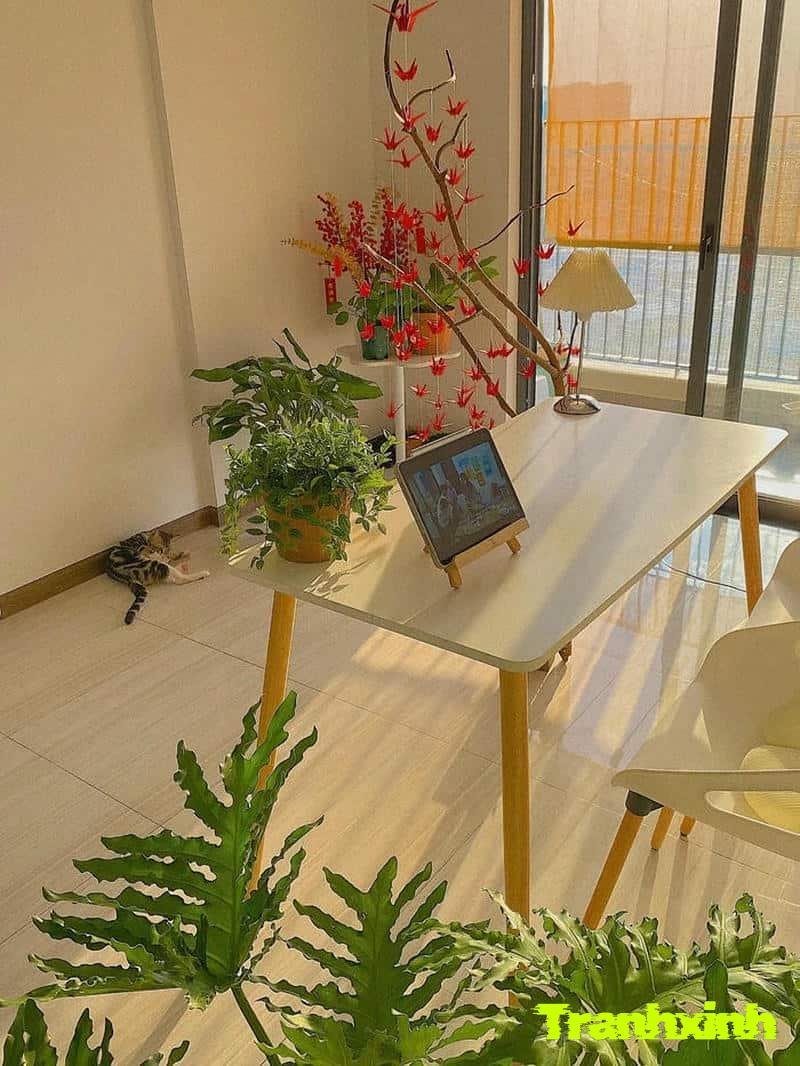 trang trí cây tết 8k