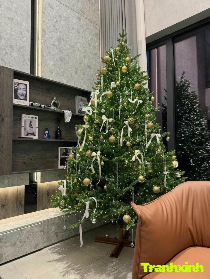trang tri cây thông
