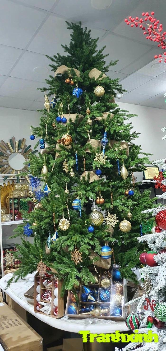 trang trí cây thông noel full hd