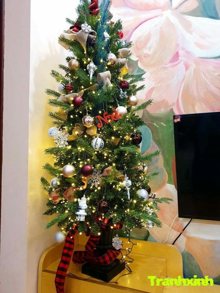 trang trí cây thông noel năm 2026