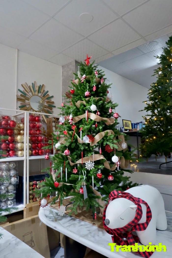 trang trí cây thông noell