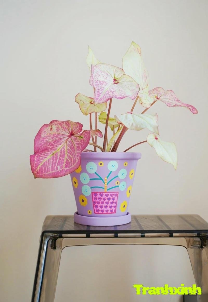 trang trí chai nhựa trồng cây