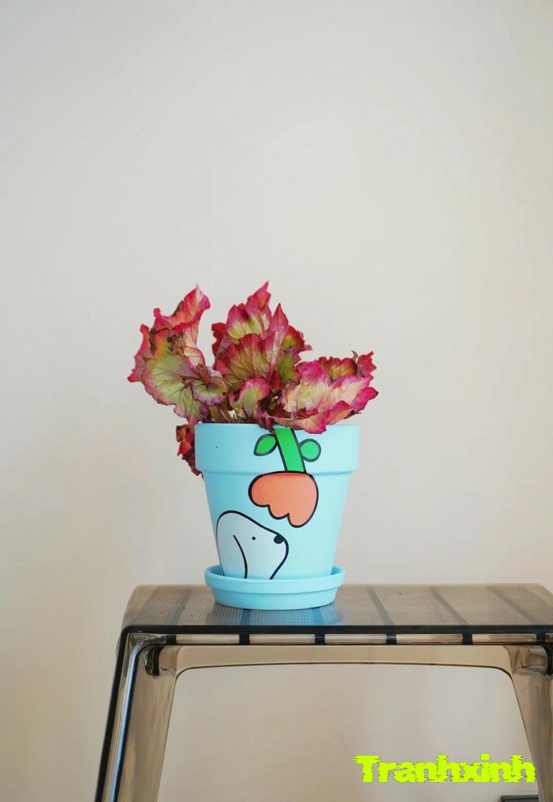 trang trí chậu cây full hd