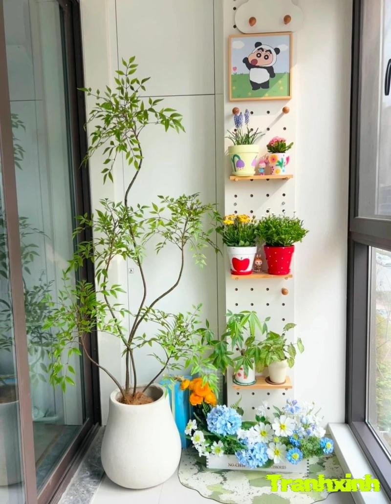 trang trí chậu cây nhiều người mua