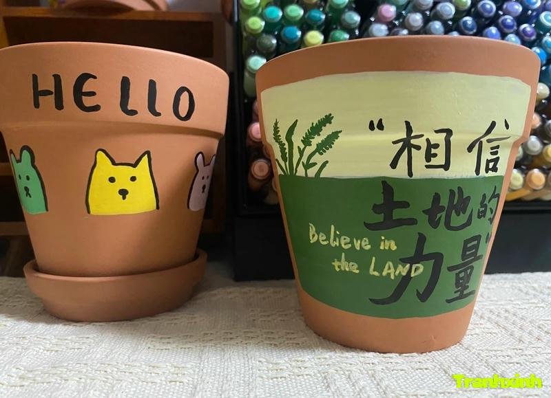 trang trí chậu cây tiểu cảnh