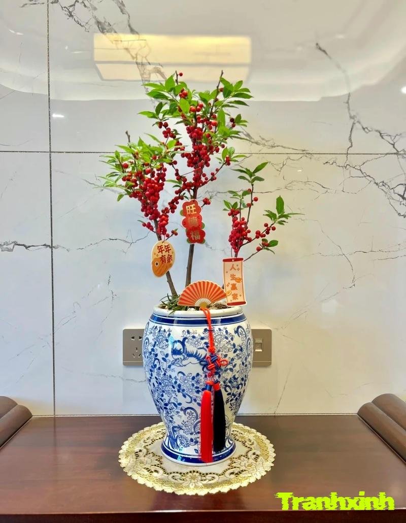 trang trí chậu cây