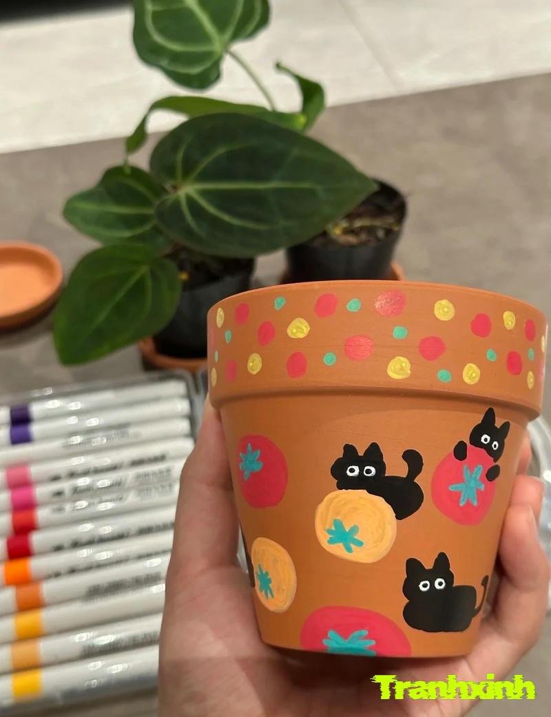 trang trí chậu sen đá