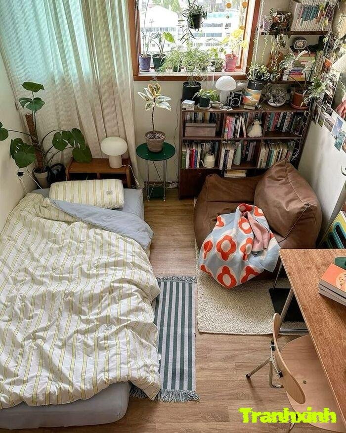 trang trí đầu giường gỗ tự nhiên