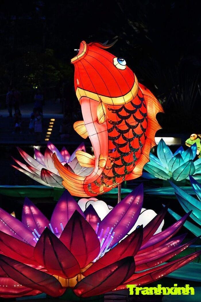 trang trí đèn ông sao không gian văn hóa