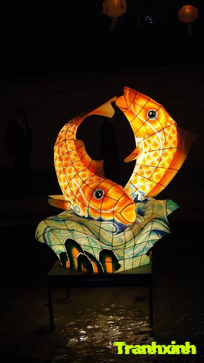 trang trí đèn ông sao nghệ thuật ánh sáng