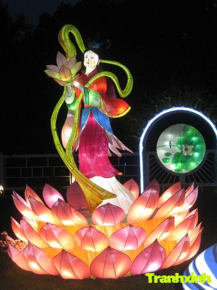 trang trí đèn ông sao trang trí sân trường