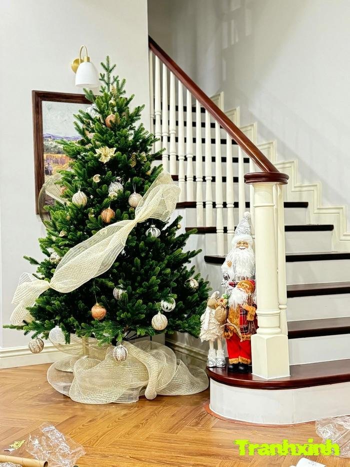 tráng trí giáng sinh