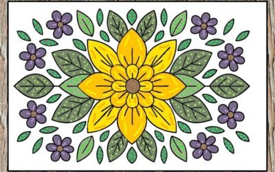 trang trí hình chữ nhật