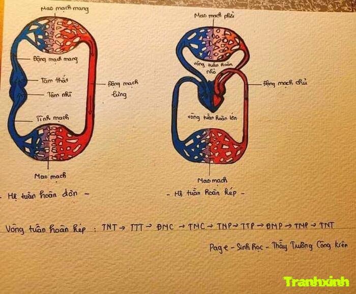 trang trí hóa học decor tinh tế