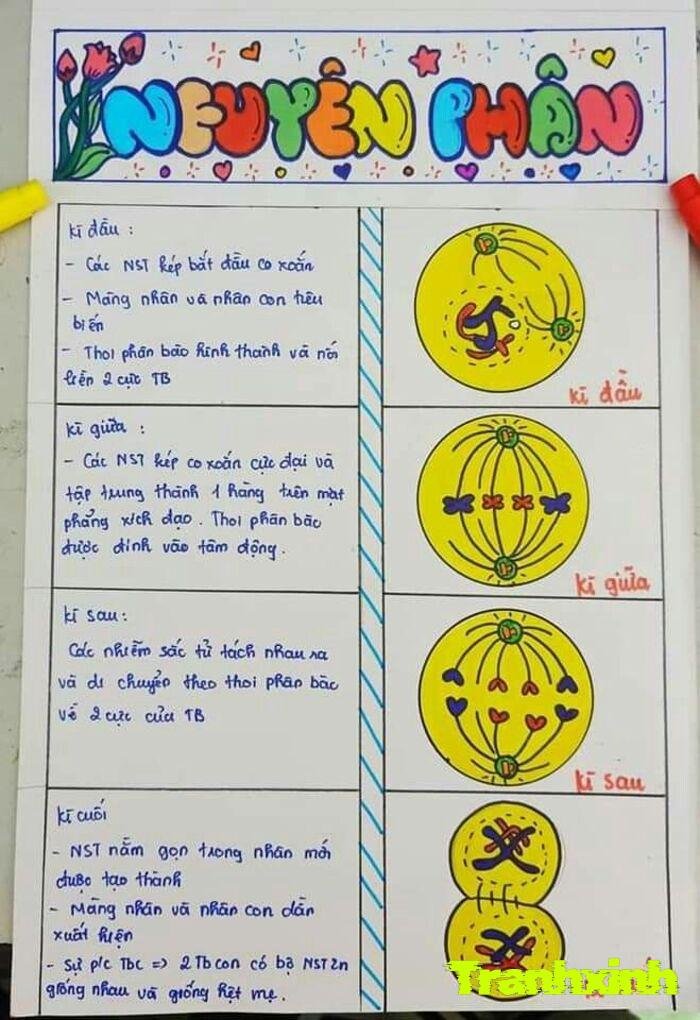 trang trí hóa học nghệ thuật minh họa