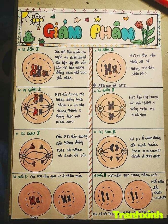 trang trí hóa học nghệ thuật trừu tượng