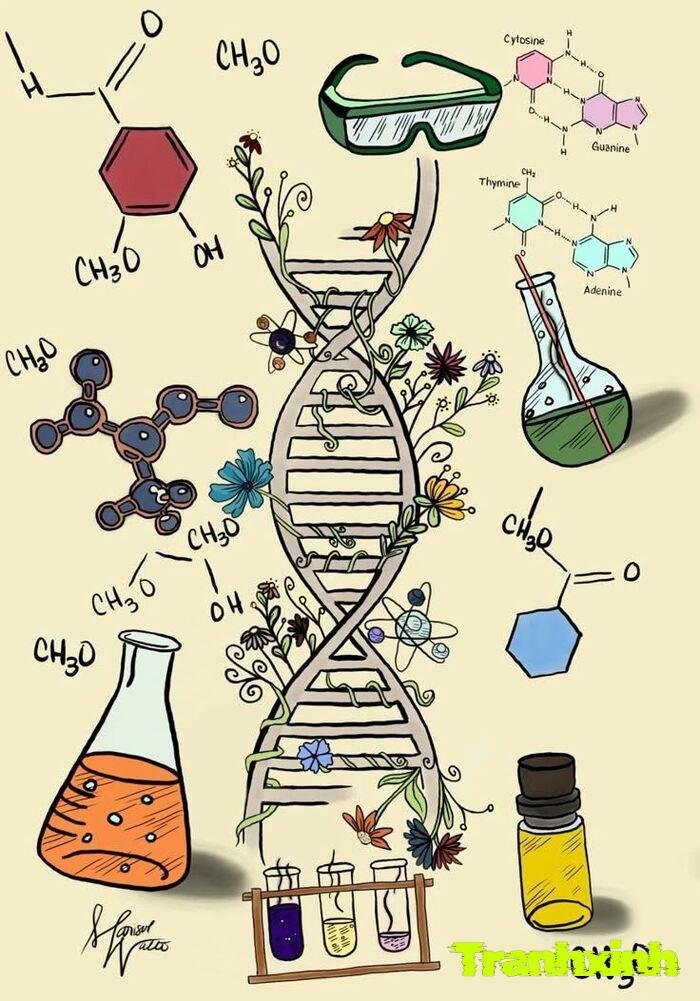 trang trí hóa học sáng tạo độc lạ