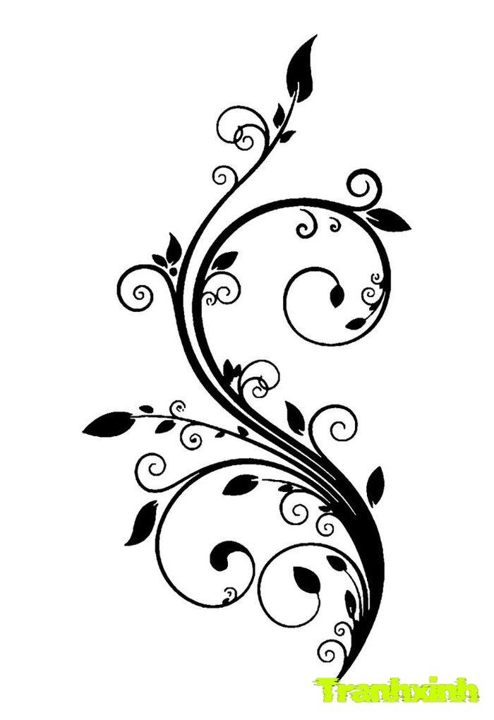 trang trí họa tiết hiện đại thanh lịch